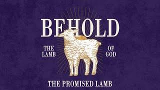 Behold the Lamb of God - The Promised Lamb