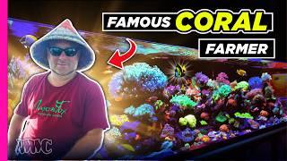 Largest Coral Farm in the US | Jason Fox's 500 Gallon Tank