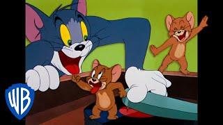 Tom y Jerry en Español  | Cómo divertirse  | WB Kids