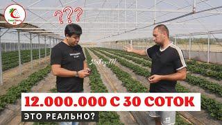 12.000.000 тенге с 30-ти соток в открытом грунте с одной волны? Это реально?