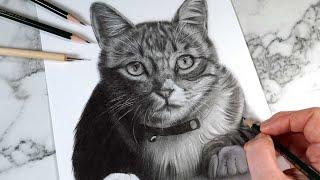 The EASY Way To Draw SUPER SOFT Realistic Fur - Graphite Pencil Drawing Tutorial