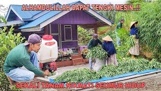 ALHAMDULILLAH DAPAT TENGKI MESIN..!! SEKALI TANAM NIKMATI SEUMUR HIDUP