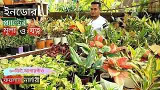 Indoor Plants Price In Foysal Nursery | ইনডোর প্ল্যান্টের দাম ও যত্ন | Gardening Bangladesh