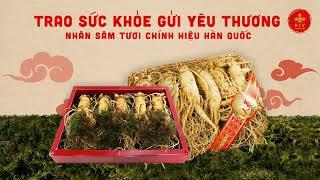 Hộp quà tết sâm tươi Hàn Quốc