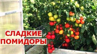 От чего зависит вкус томатов?