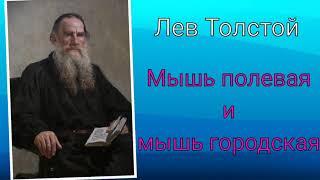 Лев Толстой. Мышь полевая и мышь городская