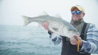 Hogy How-To: Finicky Striped Bass #hogylures #stripedbass #fishing