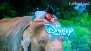 Disney Channel Asia - Continuity (8-2-2017)