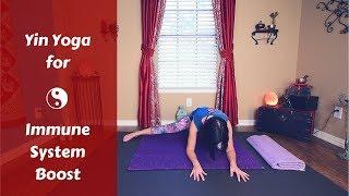 Yin Yoga for a Healthy Immune System | Boost Immunity {50 mins}