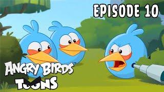 Angry Birds Toons | Catching the Blues - S3 Ep10