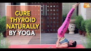 Yoga For Thyroid Problems | Shoulder Stand Pose | Yoga Tak