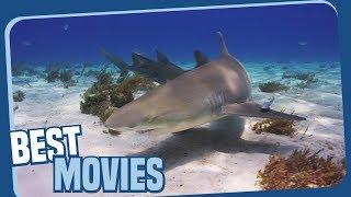 Ocean Odyssey -  Shark Nation - Die Haie der Bahamas - Dokumentation (ganze Folge auf Deutsch)