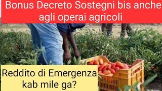 Bonus operai Agricoli | Reddito di Emergenza kab mile ga?