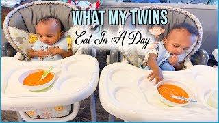 WHAT MY 6 MONTH OLD TWINS EAT IN A DAY | HOMEMADE SOLIDS | Faith Matini