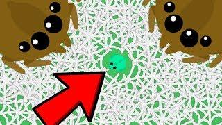 MOPE.IO BIGGEST FAIL EVER!! // Giant Spider Web Dragon Troll (Mope.io Funny Moments)