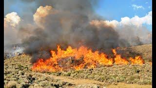 Surviving Rangeland Fire