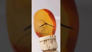 Jurassic Park Prop John Hammond's Amber Cane from Paragon FX Group (It's awesome!)