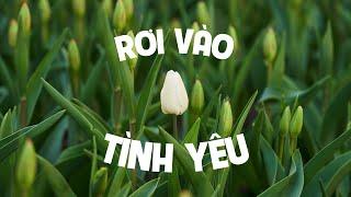 Rơi Vào Tình Yêu | ĐCNNTK #67