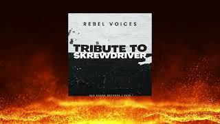 European Dream (Skrewdriver) - Cover by Rebel Voices