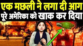 एक मछली ने अमेरिका को तबाह कर दिया, पूरे शहर को खाक में मिला दिया! Misbah Khan | The Live Tv