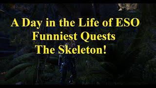 A Day in the Life of ESOs Funniest Quests