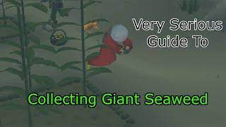 OSRS A Very Serious Guide to Giant Seaweed Collecting