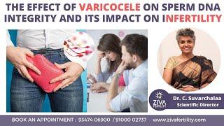 Effect of Varicocele on Sperm DNA | Male Infertility | Dr C Suvarchala | Ziva Fertility