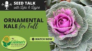 Seed Talk #46 - Ornamental Kale for Fall