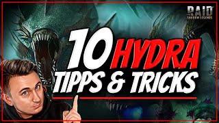 Raid: Shadow Legends | HYDRA 10 Tipps & Tricks für optimalen Fortschritt