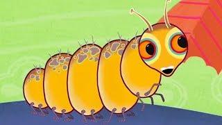 Tinga Tinga Tales Official | Why Caterpillar is Never in a Hurry | Tinga Tinga Tales Full Episodes