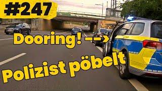 Von Polizei gedoort, Radfahrer legt sich mit Tram an und Kurven schneiden - FDD - Folge #247