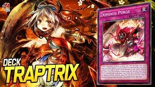 Deck Traptrix| EDOPRO | Replays  + Decklist ️