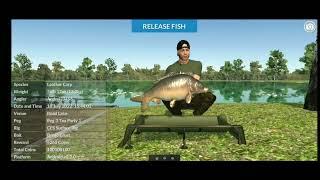 Carp fish simulator - How to catch fast big carp
