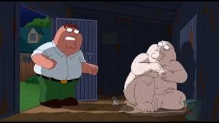 Family Guy- Peters hairless twin escapes