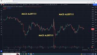 How to set ALERT for MACD Indicator on tradingview