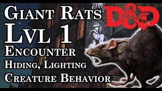 Creating A Level 1 Encounter For Dungeons and Dragons 5E - w/ Giant Rats!