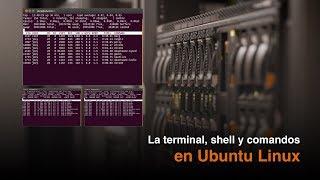 La terminal, el shell y comandos basicos de linux