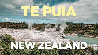 Biggest GEYSER in the southern hemisphere TE PUIA - New Zealand