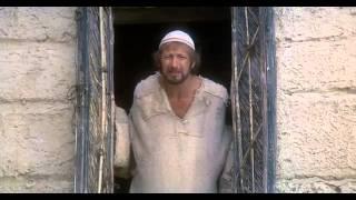 Life Of Brian - "You are all individuals"