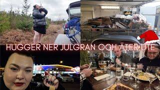 HUGGER NER JULGRAN OCH TRÄFFAR HELA MIN FAMILJ - vloggvecka #3 