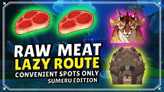 Raw Meat Farming Route - LAZY ROUTE [Sumeru Edition]