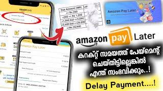 Amazon pay later fees | Amazon pay later Delay Payment fee 2024 | Amazon Pay later Overdue Charges