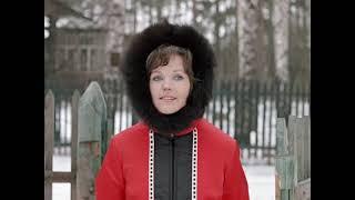 Джентльмены удачи FullHD, комедия, реж  Александр Серый, 1971 г