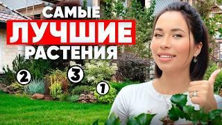 10 САМЫХ МАЛОУХОДНЫХ РАСТЕНИЙ для сада! Подборка лучших из лучших