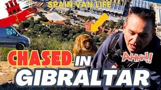 OMG! Chased by Monkeys | Gibraltar | VAN LIFE SPAIN