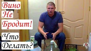 Вино НЕ БРОДИТ! Что ДЕЛАТЬ?