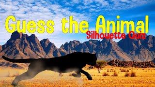 Animal Shadow Game | Animal Quiz