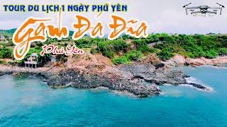 Gành Đá Đĩa - Di tích thắng cảnh cấp Quốc Gia | Khám phá Tour du lịch Quy Nhơn - Phú Yên 1 ngày