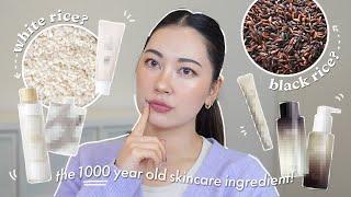 Benefits of Rice in Skincare  K-Beauty & J-Beauty recommendations~!