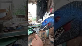 the blue raptor can blow fire #dinosaurs #blueraptor #velociraptor #subscribe #shorts